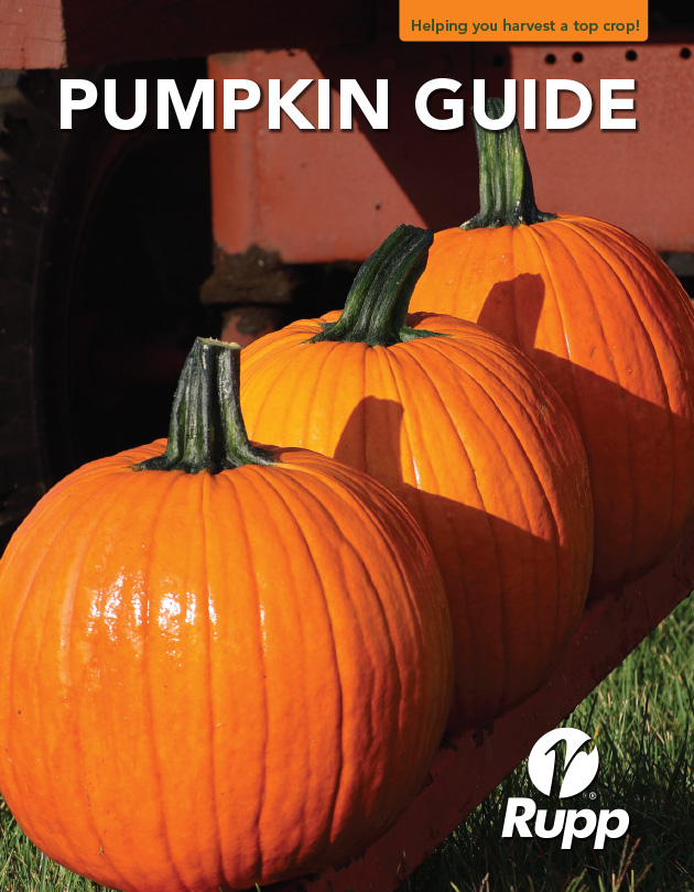 Pumpkin Guide Cover Image