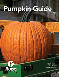 Pumpkin Guide Cover Image