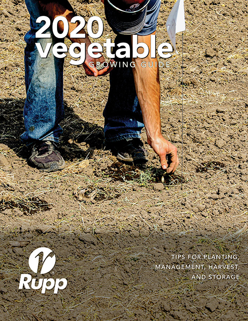 Cover of the 2020 Vegetable Growing Guide showing someone direct seeding pumpkins.