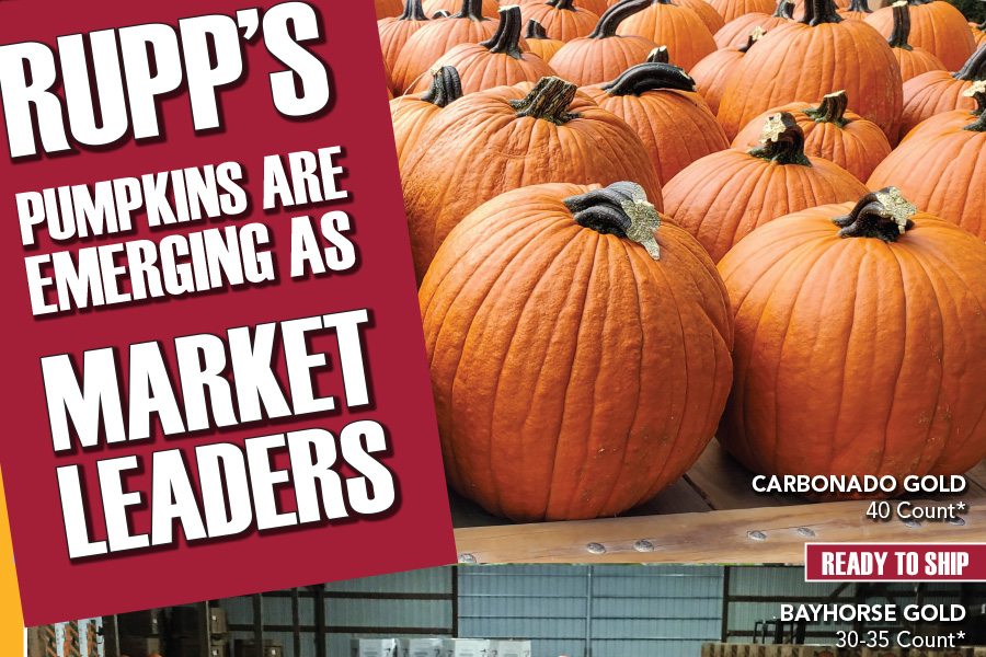 A section of a Rupp ad showing pumpkins with the words market leaders bold on the image