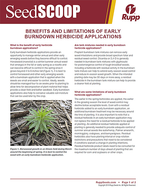 Screen shot image of SeedSCOOP publication discussing the benefits and limitations of early burndown herbicide applications.
