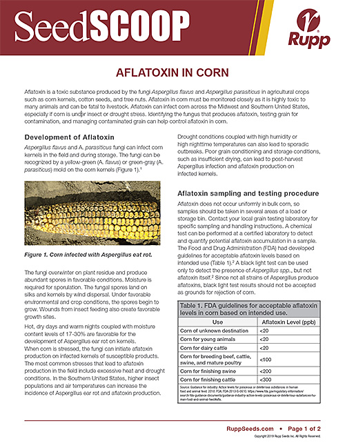 Screen shot image of SeedSCOOP publication discussing Aflatoxin in Corn.
