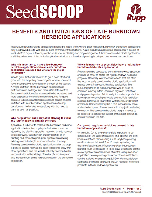 Screen shot image of SeedSCOOP publication discussing the benefits and limitations of late burndown herbicide applications.
