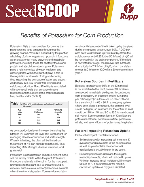 Screen shot image of SeedSCOOP publication discussing the benefits of Potassium for corn production.
