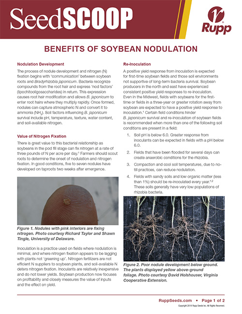 Screen shot image of SeedSCOOP publication discussing the benefits of soybean nodulation.