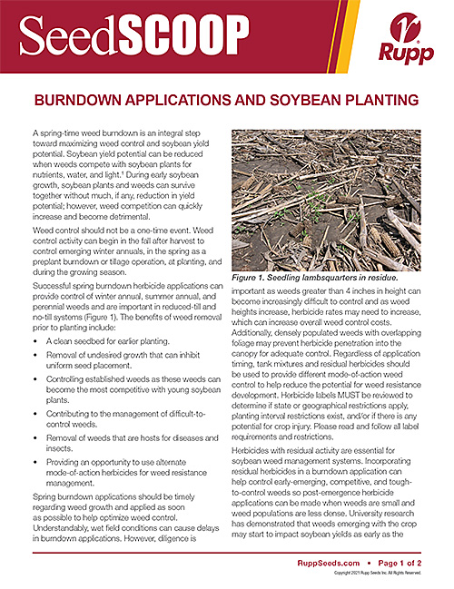 Screen shot image of SeedSCOOP publication discussing burndown applications and soybean planting.
