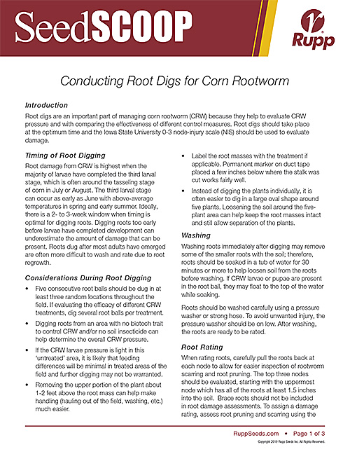 Screen shot image of SeedSCOOP publication discussing how to conduct root digs for corn rootworm.