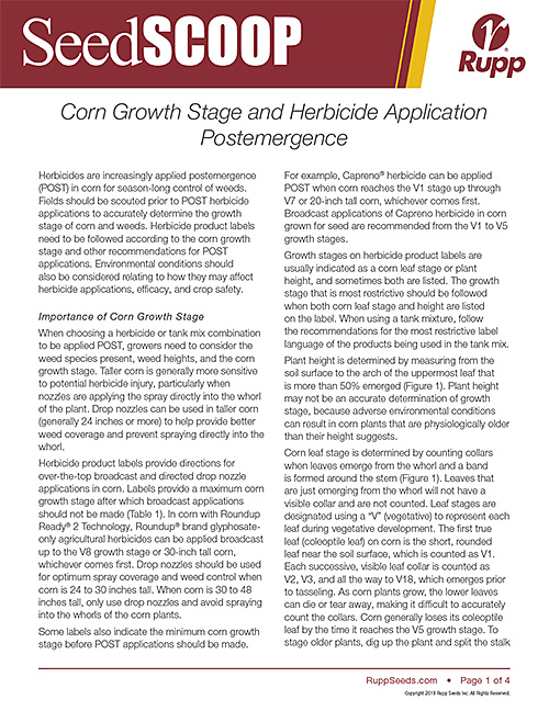Screen shot image of SeedSCOOP publication discussing corn growth stages and herbicide application postemergence.