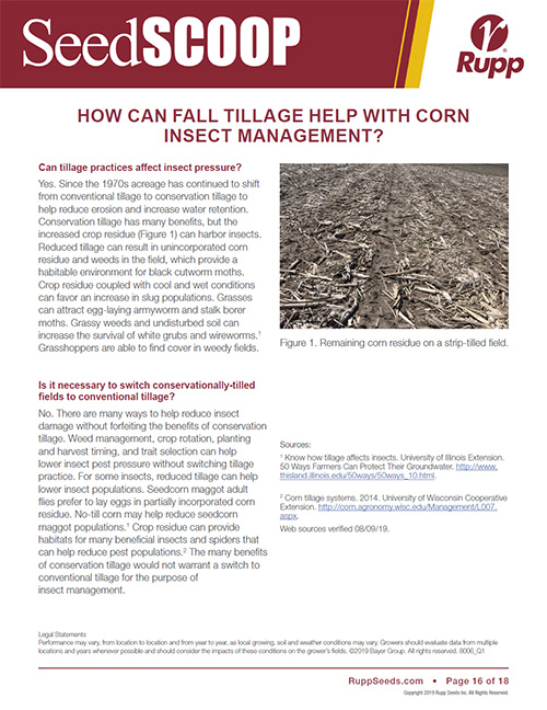 Screen shot image of SeedSCOOP publication discussing how fall tillage can help with corn insect management.