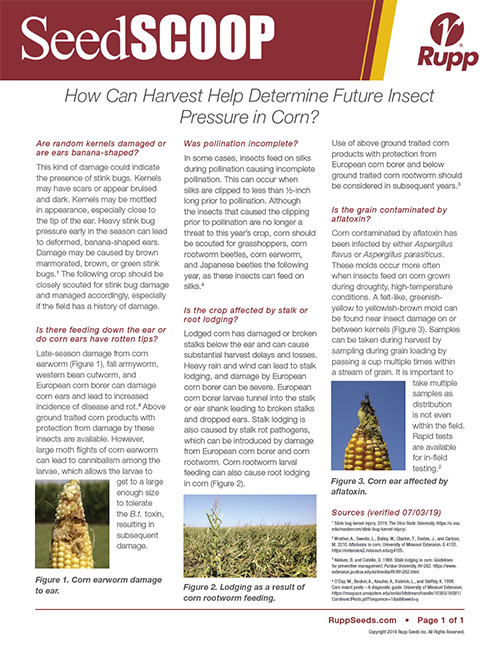 Screen shot image of SeedSCOOP publication discussing how you can use harvest to determine future insect pressure in corn.