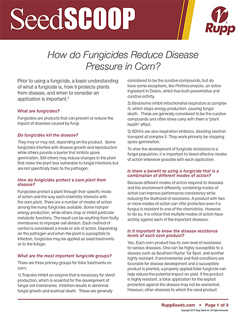 Screen shot image of SeedSCOOP publication discussing how fungicides reduce disease pressure in corn.