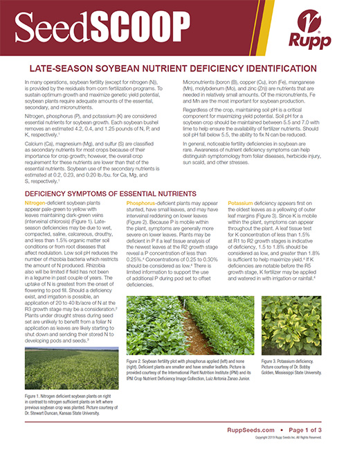 Screen shot image of SeedSCOOP publication discussing late-season soybean nutrient deficiency identification.