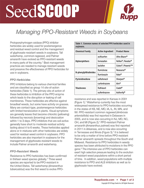 Screen shot image of SeedSCOOP publication discussing the management of PPO resistant weeds in soybeans.