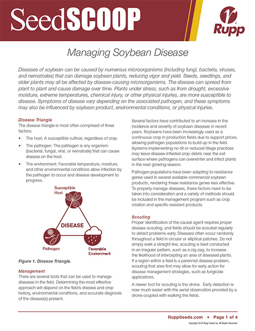 Screen shot image of SeedSCOOP publication discussing managing soybean disease.