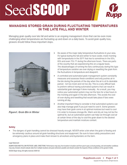 Screen shot image of SeedSCOOP publication discussing how to manage stored grain during fluctuating temperatures in the late fall and winter.