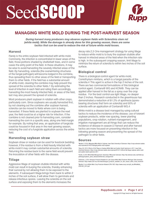 Screen shot image of SeedSCOOP publication discussing the managment of white mold during the post-harvest season.