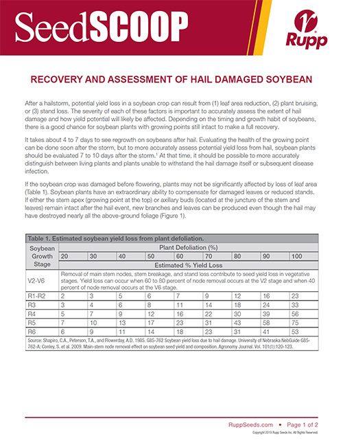 Screen shot image of SeedSCOOP publication recovery and assessment of hail damaged soybeans