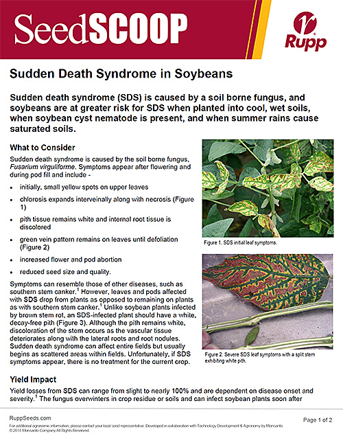 Screen shot image of SeedSCOOP publication discussing sudden death syndrome in soybeans.
