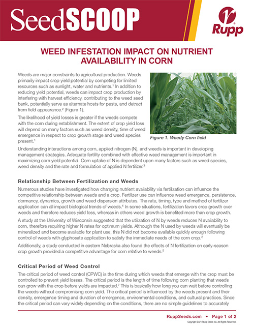 Screen shot image of SeedSCOOP publication discussing weed infestation impact on nutrient availability in corn.