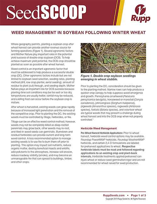 Screen shot image of SeedSCOOP publication discussing weed management in soybean following winter wheat.